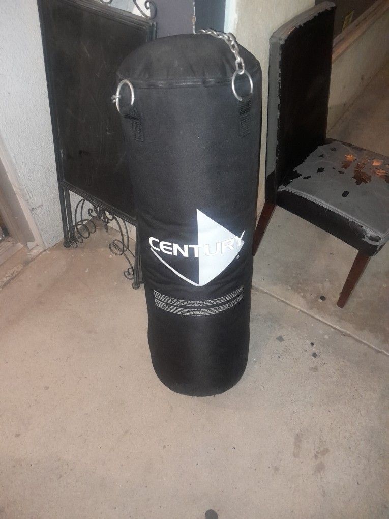 Century Punching Bag Mint Condition