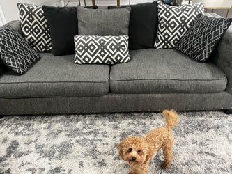 Couches