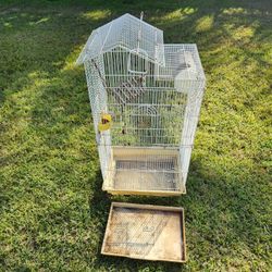 Bird Cage 