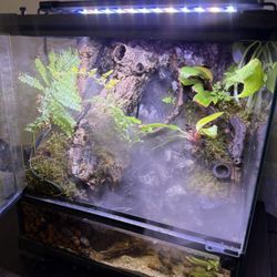 Bioactive Terrarium 