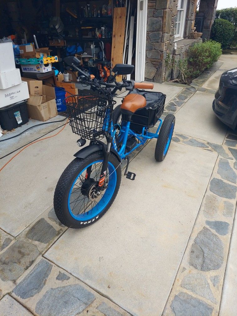 E Trike