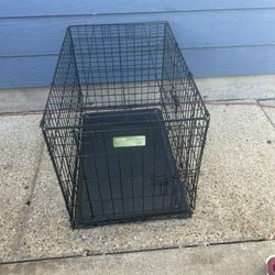 Dog Cage 