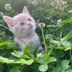Cuteness Overload! 
