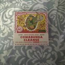 TMNT soap
