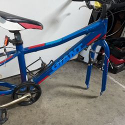 GIANT  XTC-jr 24 Lite   Trail Bike Frame