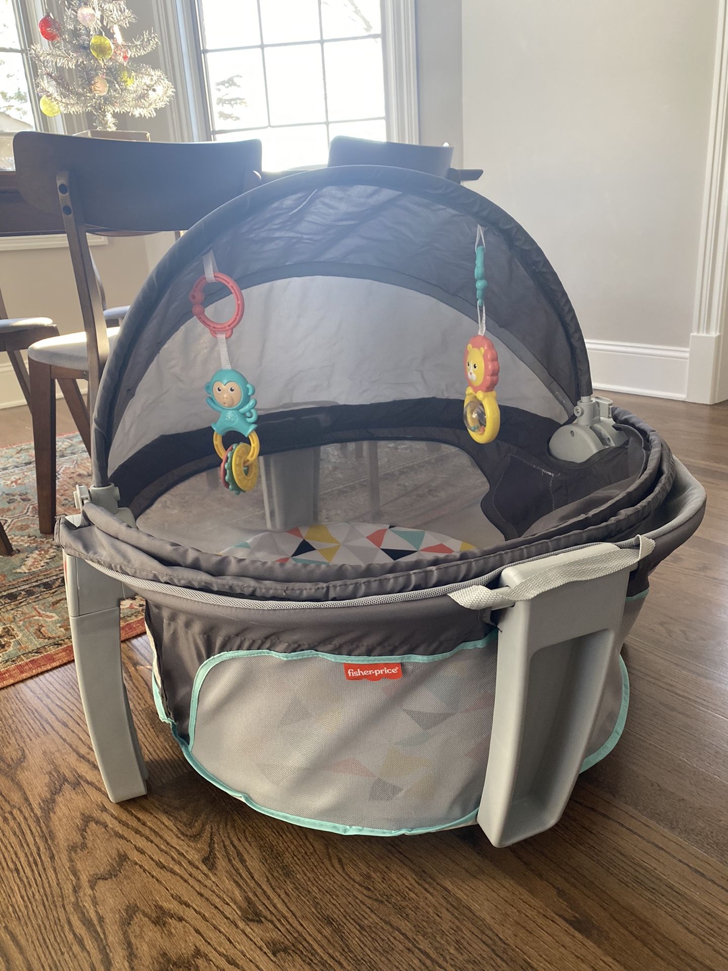 Fisher Price Baby Dome