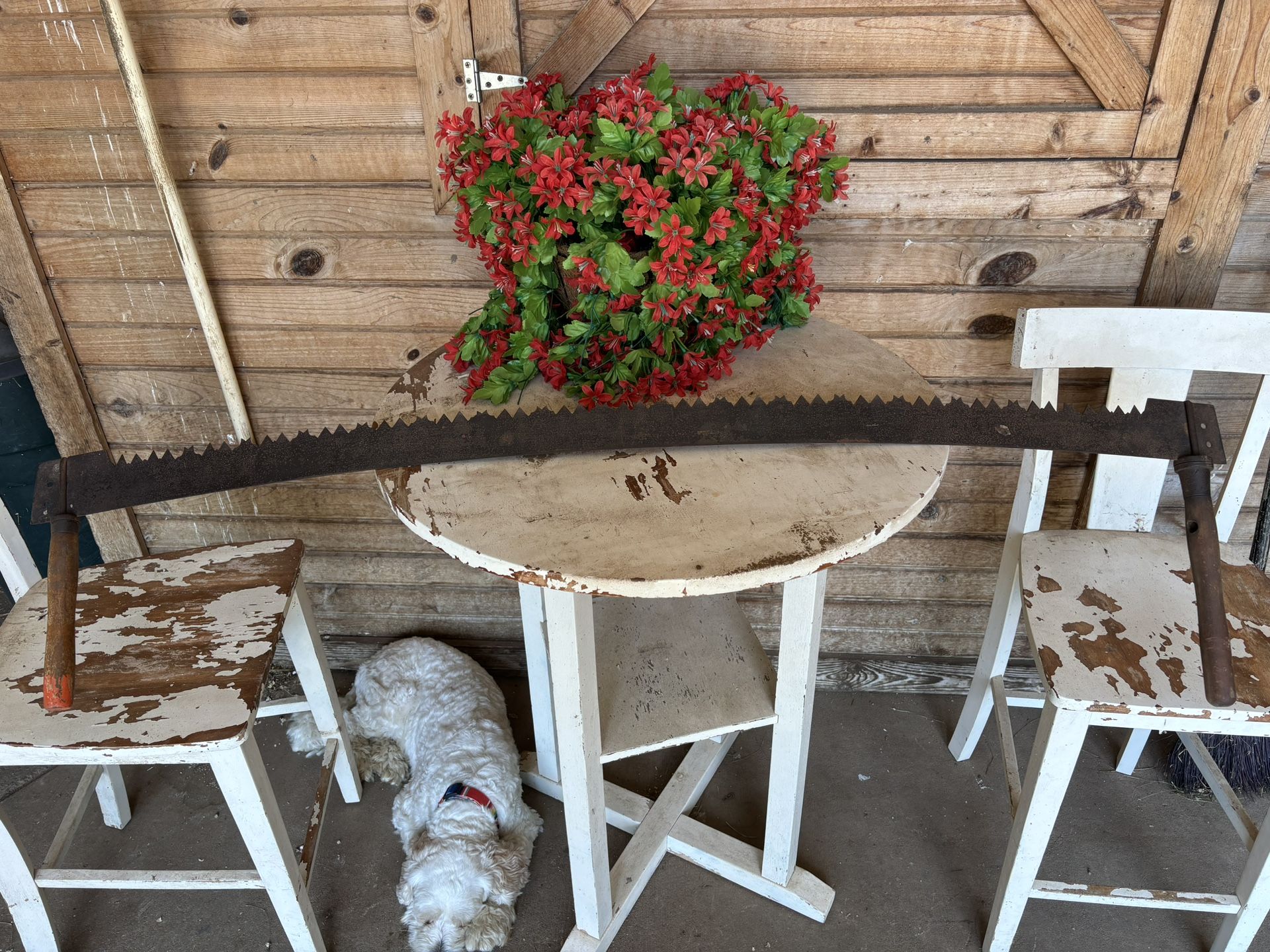 Crosscut Saw - Vintage Antique - 