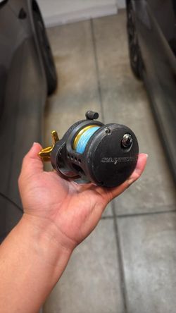 Daiwa Saltist BG 35
