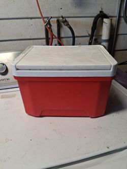 Igloo small cooler