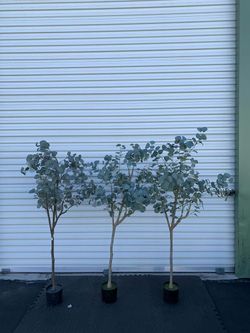 5ft Artificial Eucalyptus Tree in Plastic Nursery Pot, Tall Faux Eucalyptus Stems Fake Plants with 846 Silver Dollar Leaves, Artificial Trees for Offi