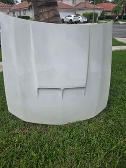 2005 Mustang Hood, alternator and serpentine belt.