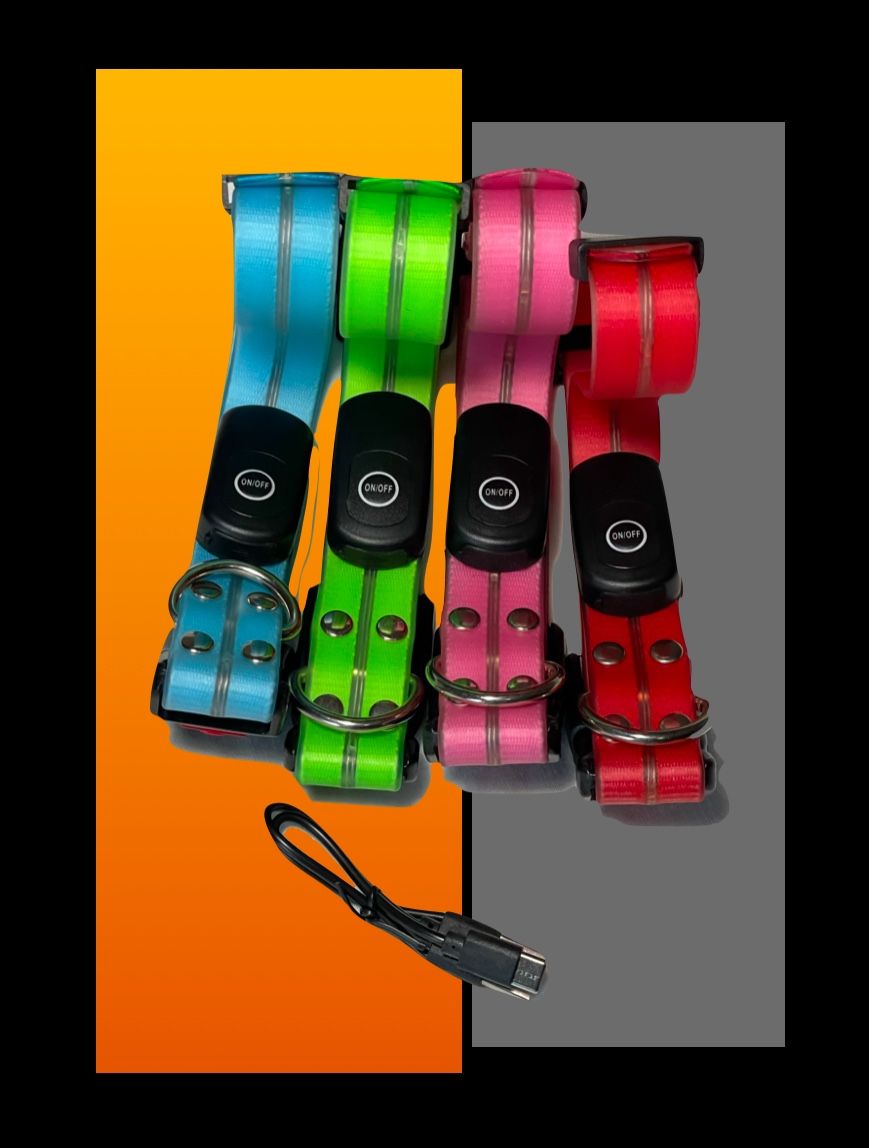 **NEW** ROCK LED DOG COLLARS