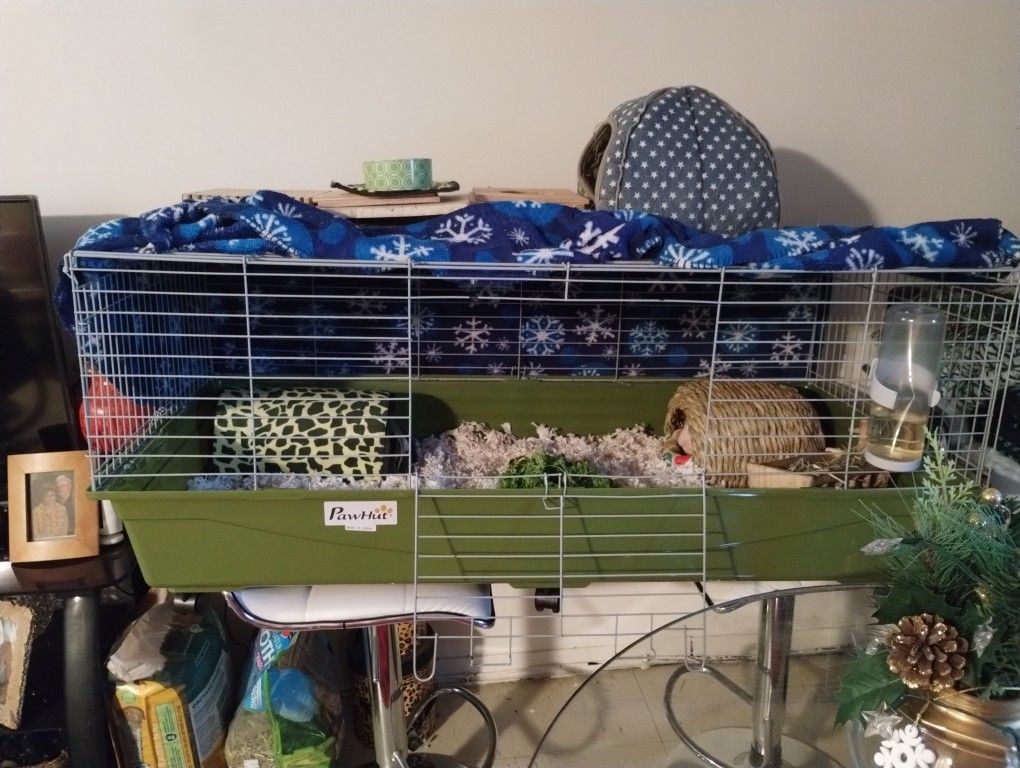 Cage For Guinea Pig