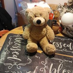 Brand New! Teddy Bear $5