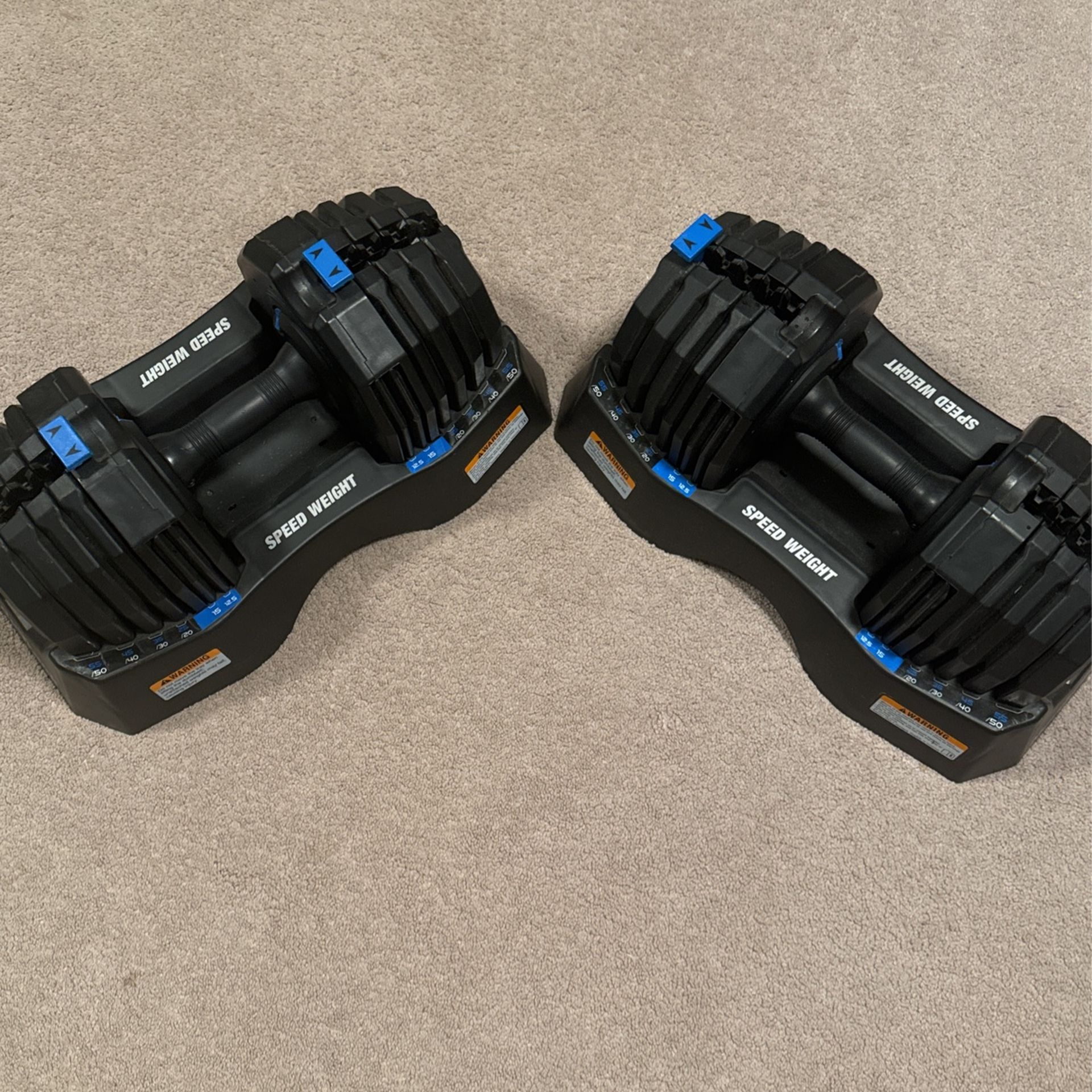NordicTrack Adjustable Speed Weights