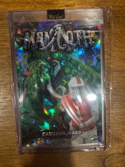 Wild Card Mammoth 4x6 Lot