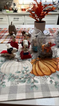Some Snoopy Collection Toys 