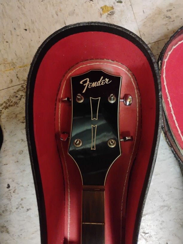 Fender Banjo