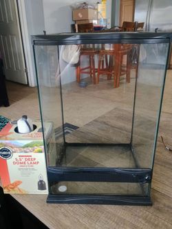 10 gallon reptile tank