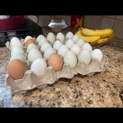 Farm Fresh Eggs For Cooking 