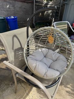 Cat swing