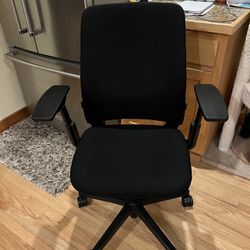 Steelcase Amia Ergonomic Chairs (2)