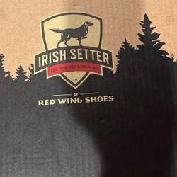 Men’s 11 Irish Setter Steel Toe Boots 