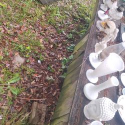 Milk Glass