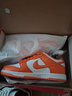 Nike dunks size 9 brand new