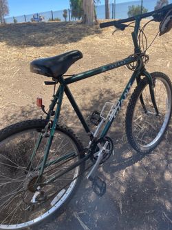Giant bike iguana