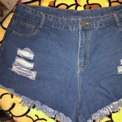 SHEIN high Waisted Curve Shorts 