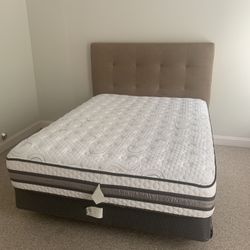 Full Size Mattress/boxspring with Headboard 