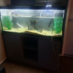 75gal Fish Tank With Stand 
