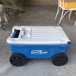 This little caddy is Wonderful for planting flowers