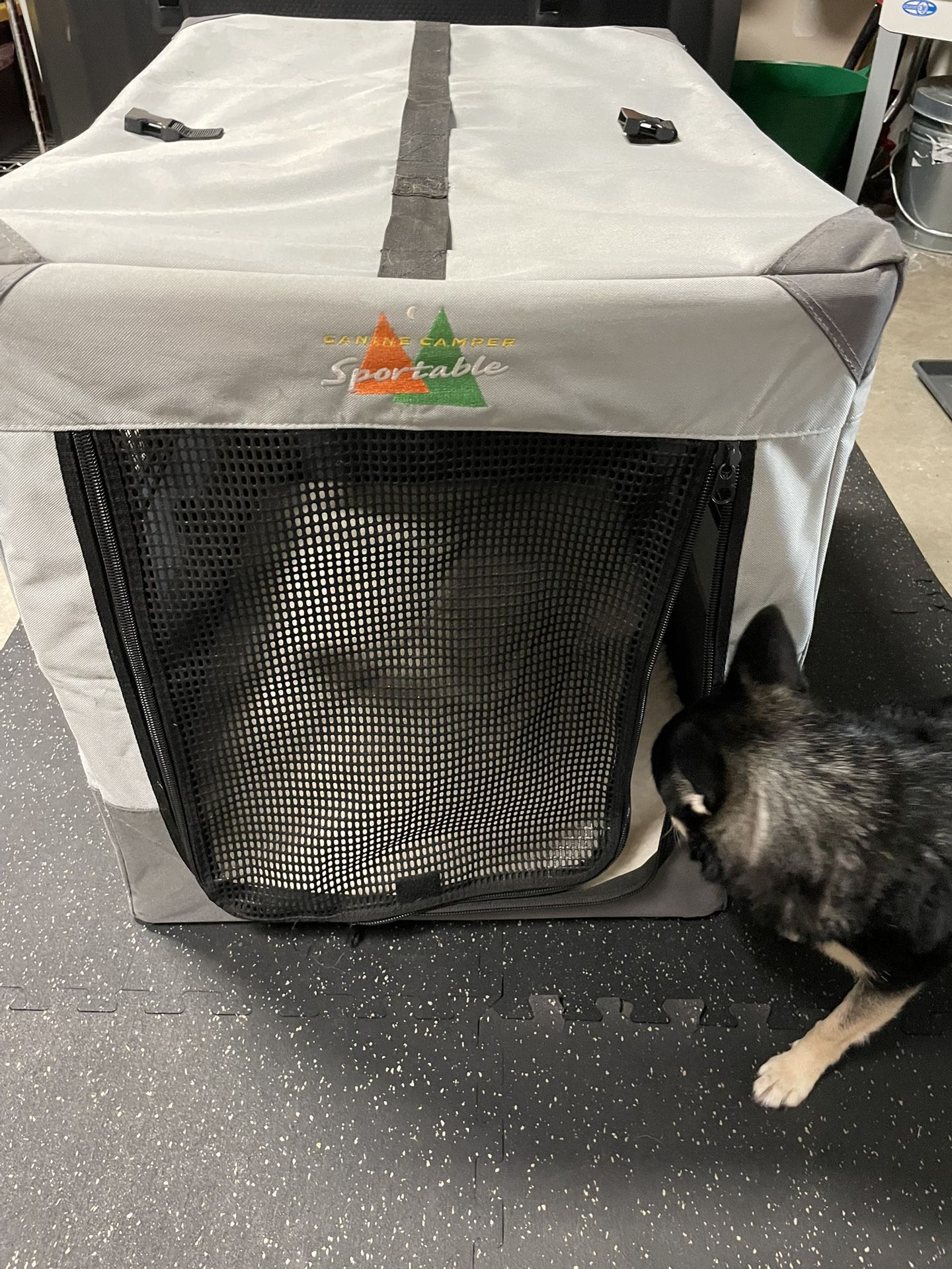 Collapsible Dog Crate