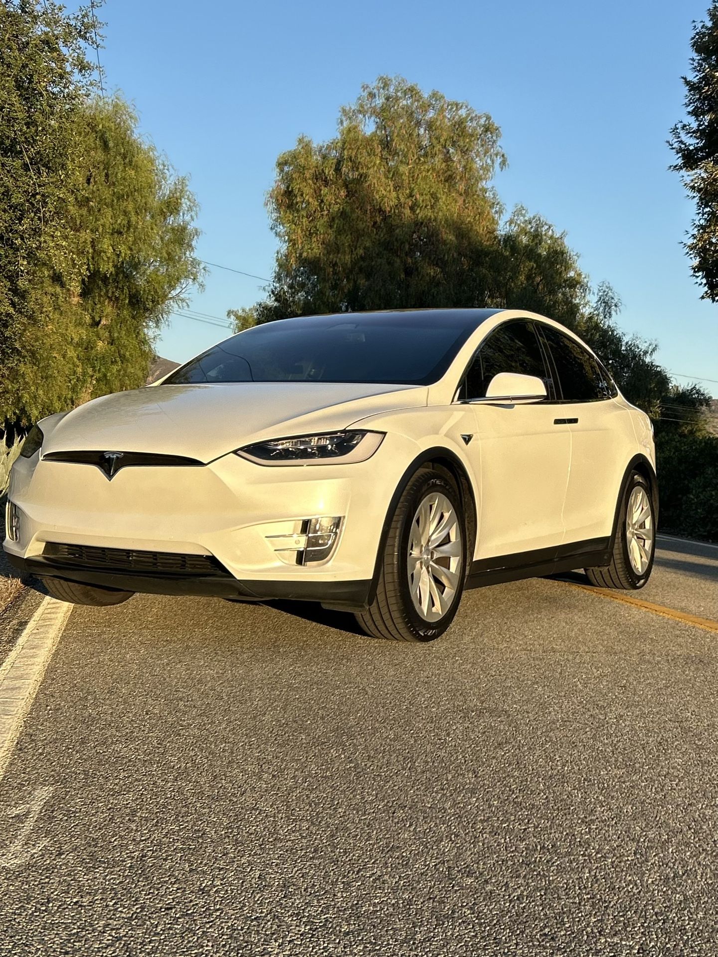 2017 Tesla Model X