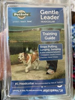 No pull dog lead