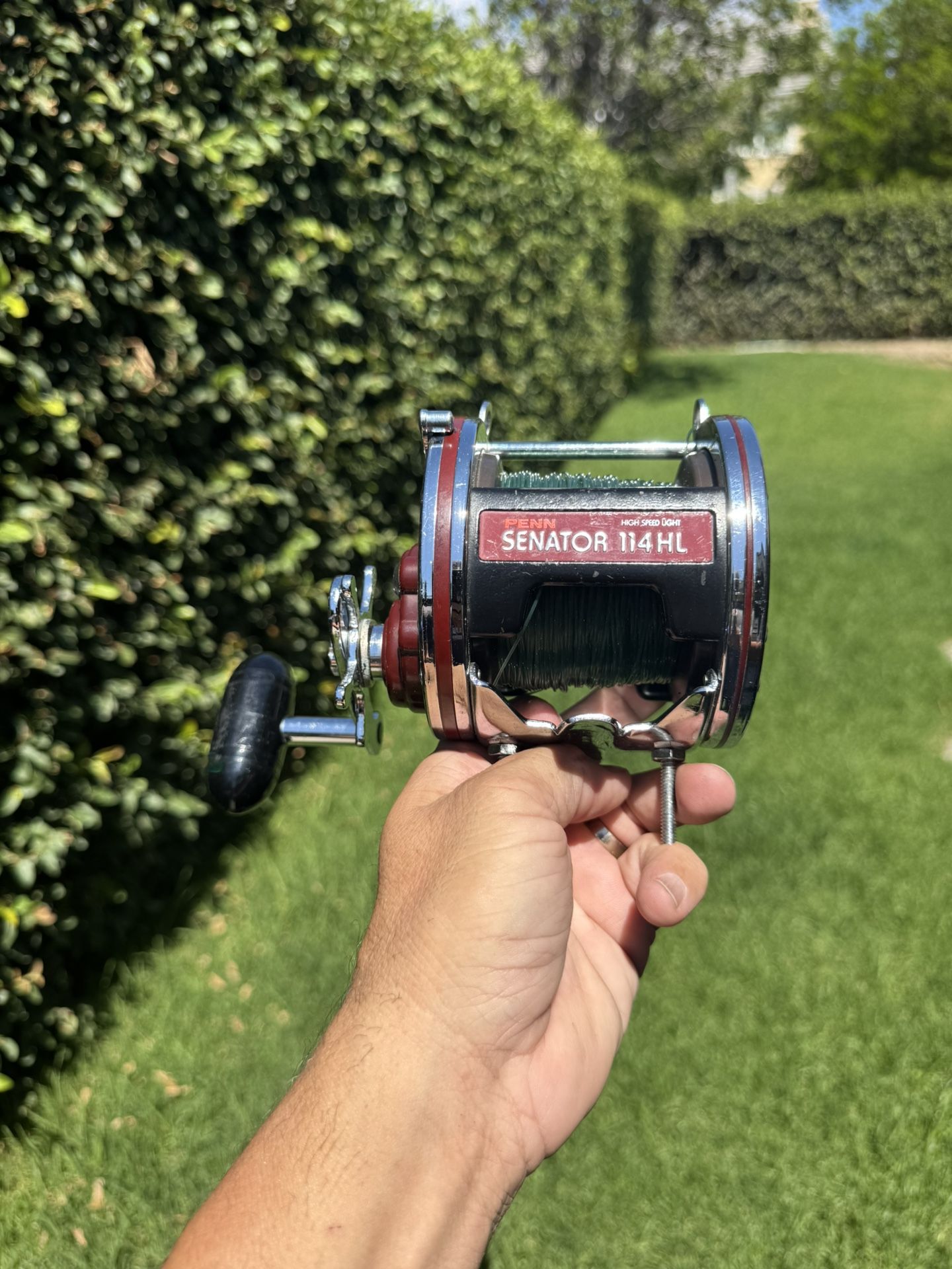 🎣 Penn Senator 6/0 114HL Trolling Reel – Spectra Backed, Ready to Fish!
