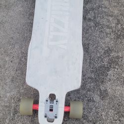 grizzly longboard
