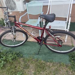 Pacific Timber 26” Bike