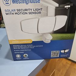 Solar Security Light with Motion Sensor