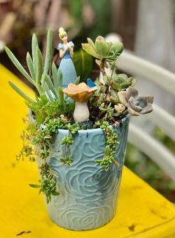 $15 Cinderella inspired fairy garden
