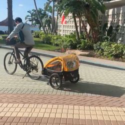 Bike Trailer Retrospec For Two