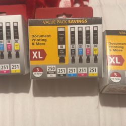Canon Ink 250XL
