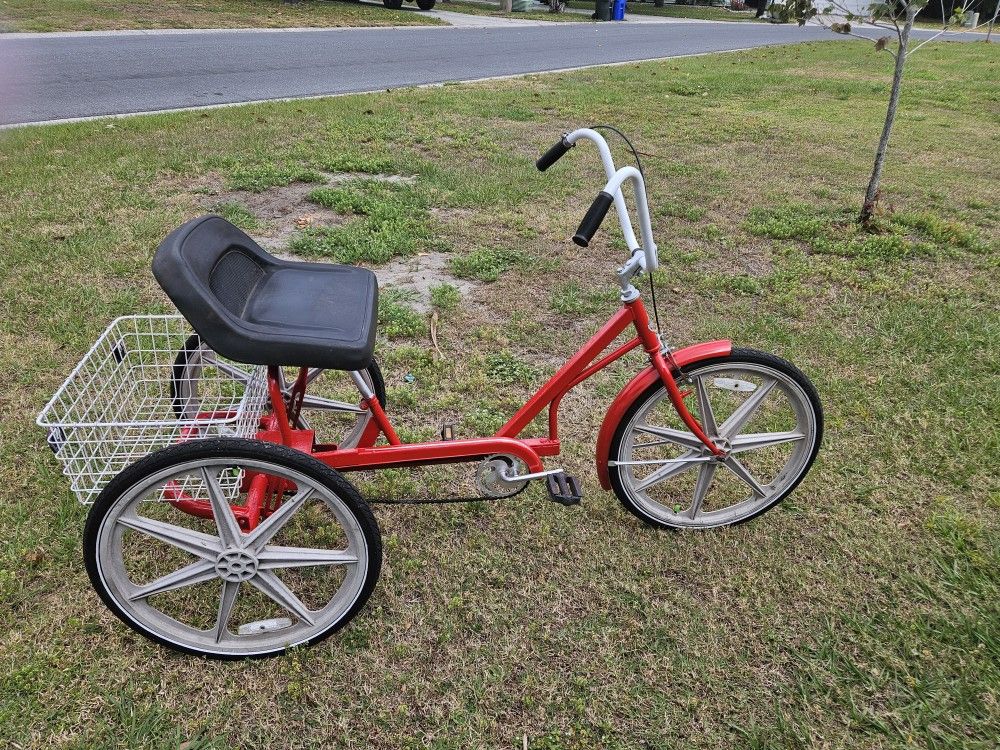 24 Inch Trailmate Adult Tricycle 