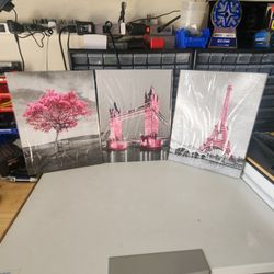 Pink Canvas Wall Art 
