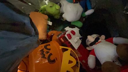 2 bags of toys