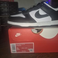 BOYS NIKE DUNKS 