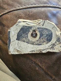?????? It's Old Alaska Native Indian Whales Head ?