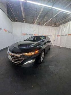 2019 Chevrolet Malibu